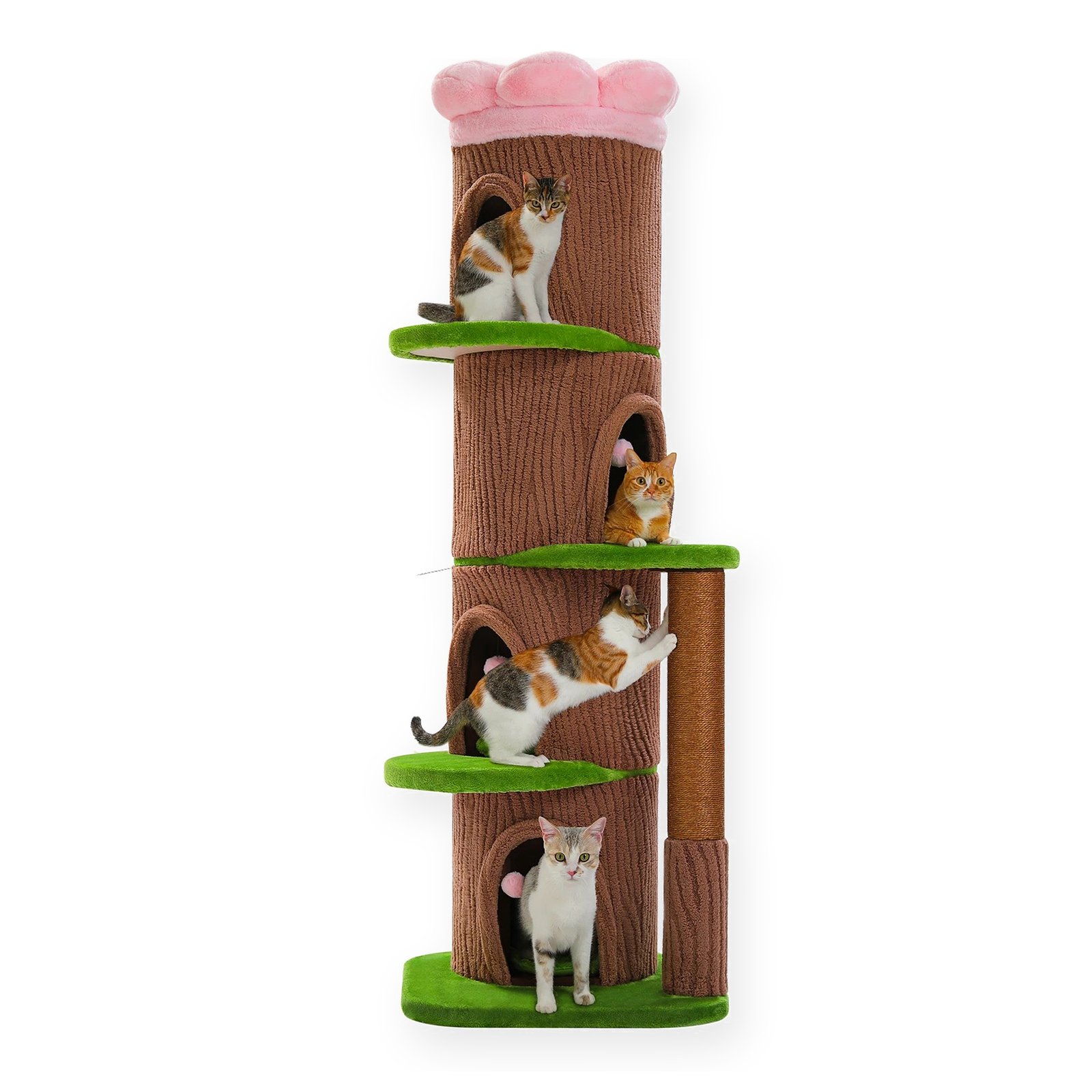 Arbre à chat forêt marron et vert de 174 cm sur fond blanc