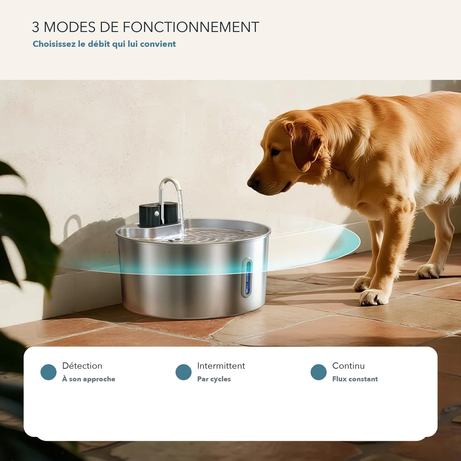 Adaptez son fonctionnement