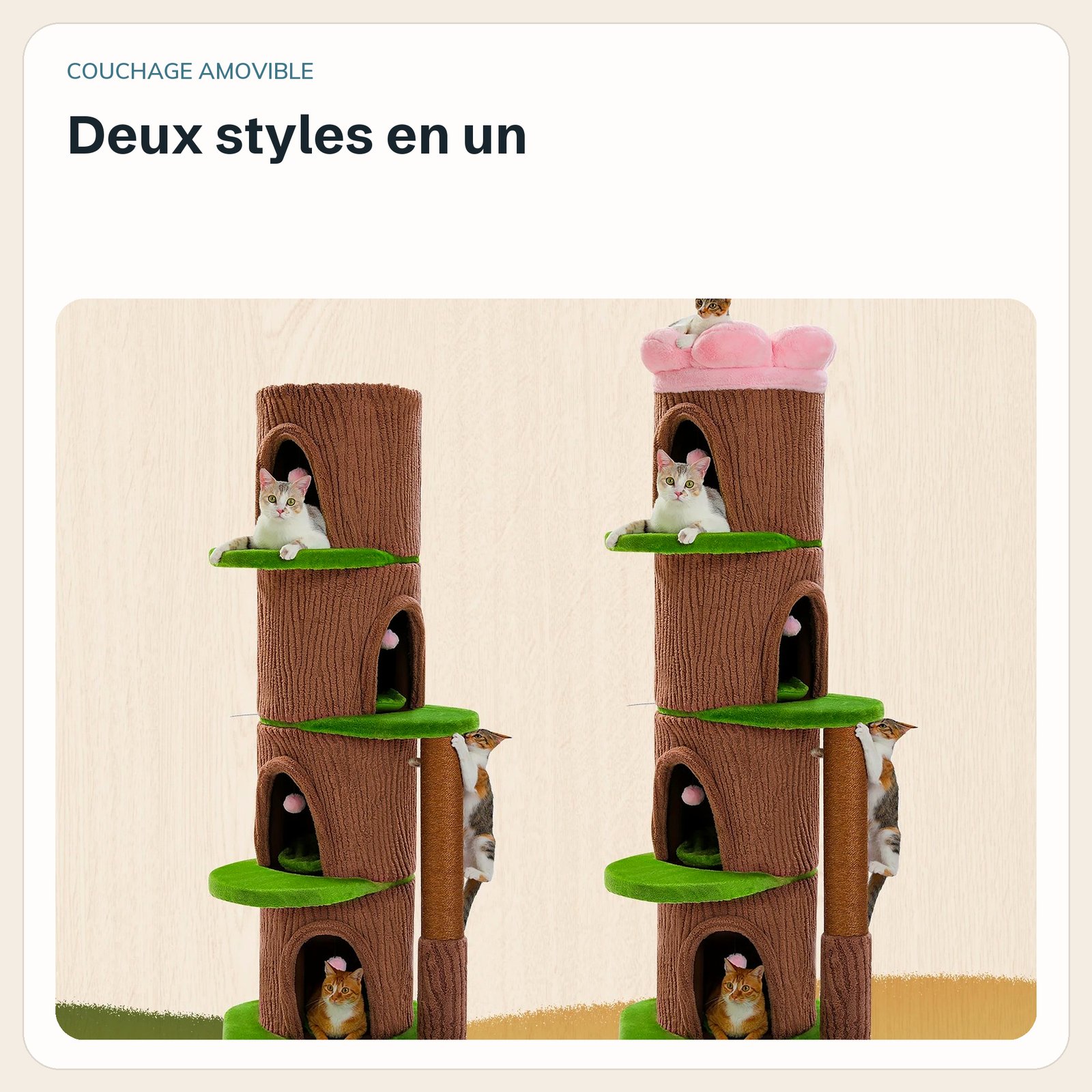 Avec ou sans fleur
