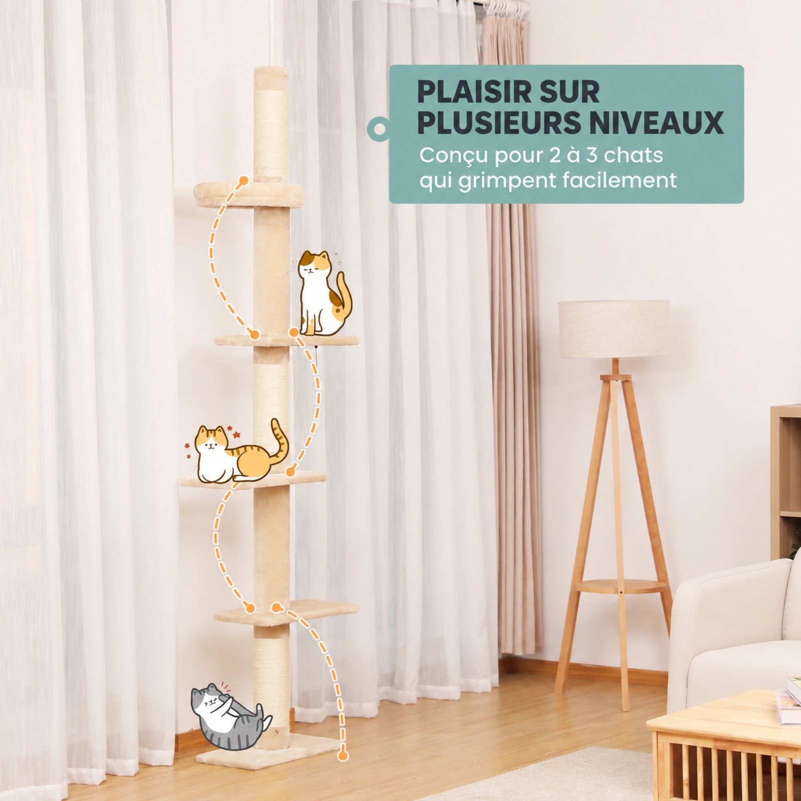 Des espaces distincts pour les chats