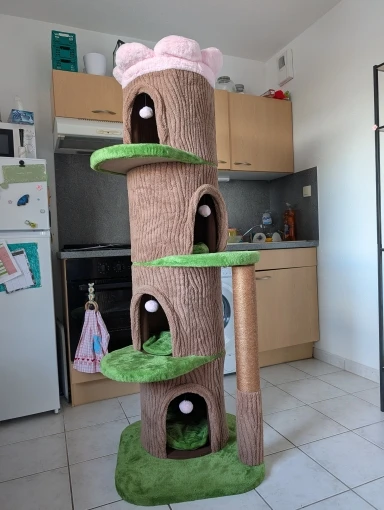 Photo client de l’arbre à chat forêt monté