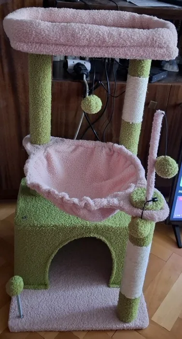 Photo d’un client du fournisseur, arbre rose monté