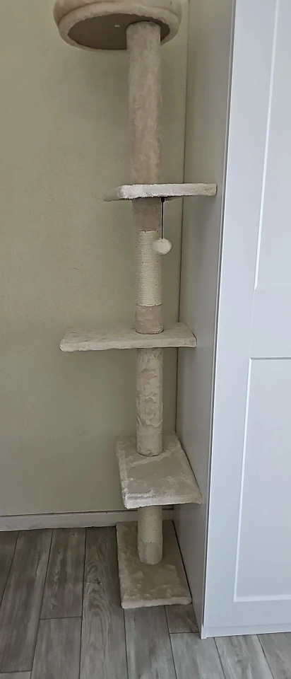 Photo client de l’arbre à chat beige AMT0160 installé