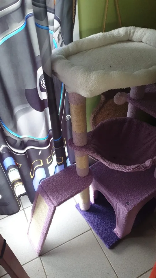 Photo client de l’arbre à chat violet installé