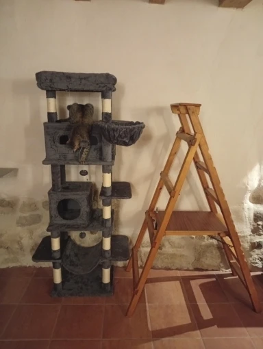 Photo du fournisseur : arbre à chat gris foncé