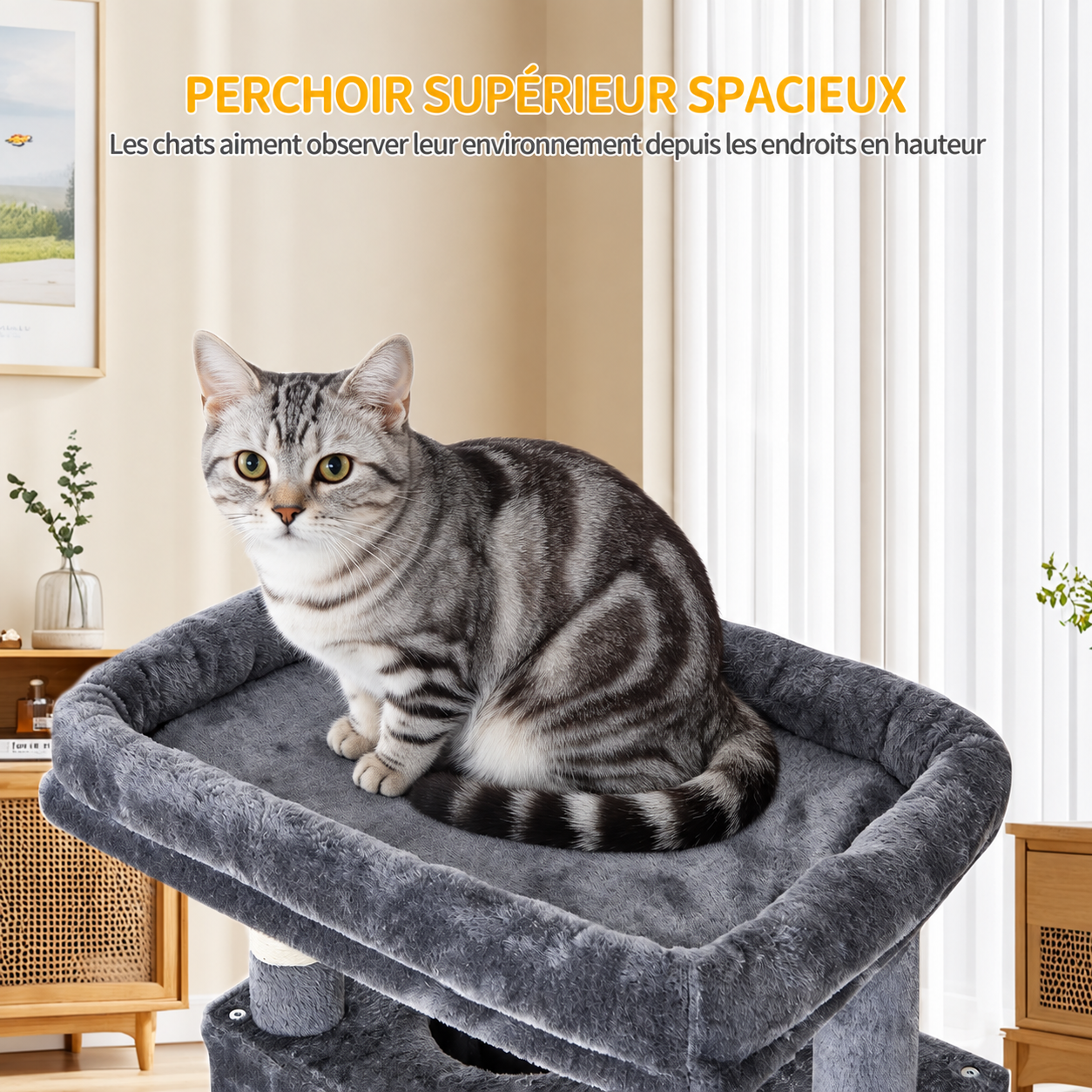 Un perchoir de 50 × 30 cm
