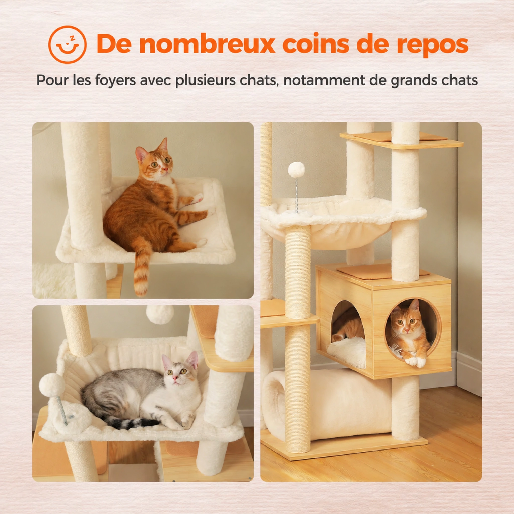 À chacun sa place