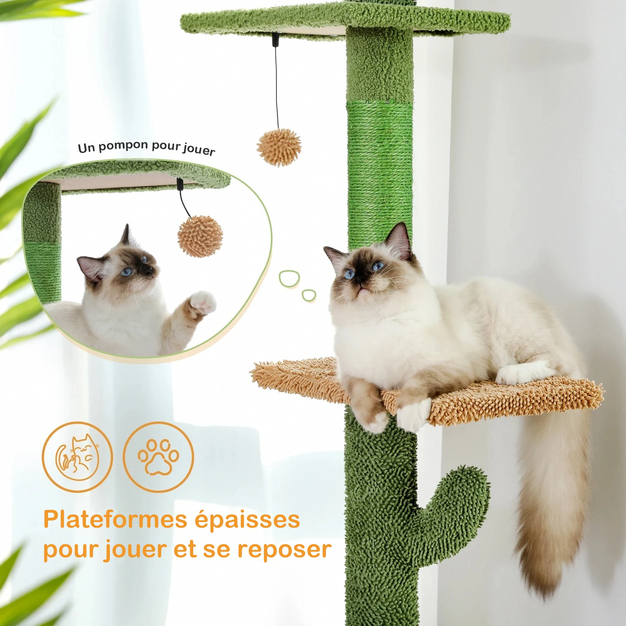 Du sisal et un pompon à attraper
