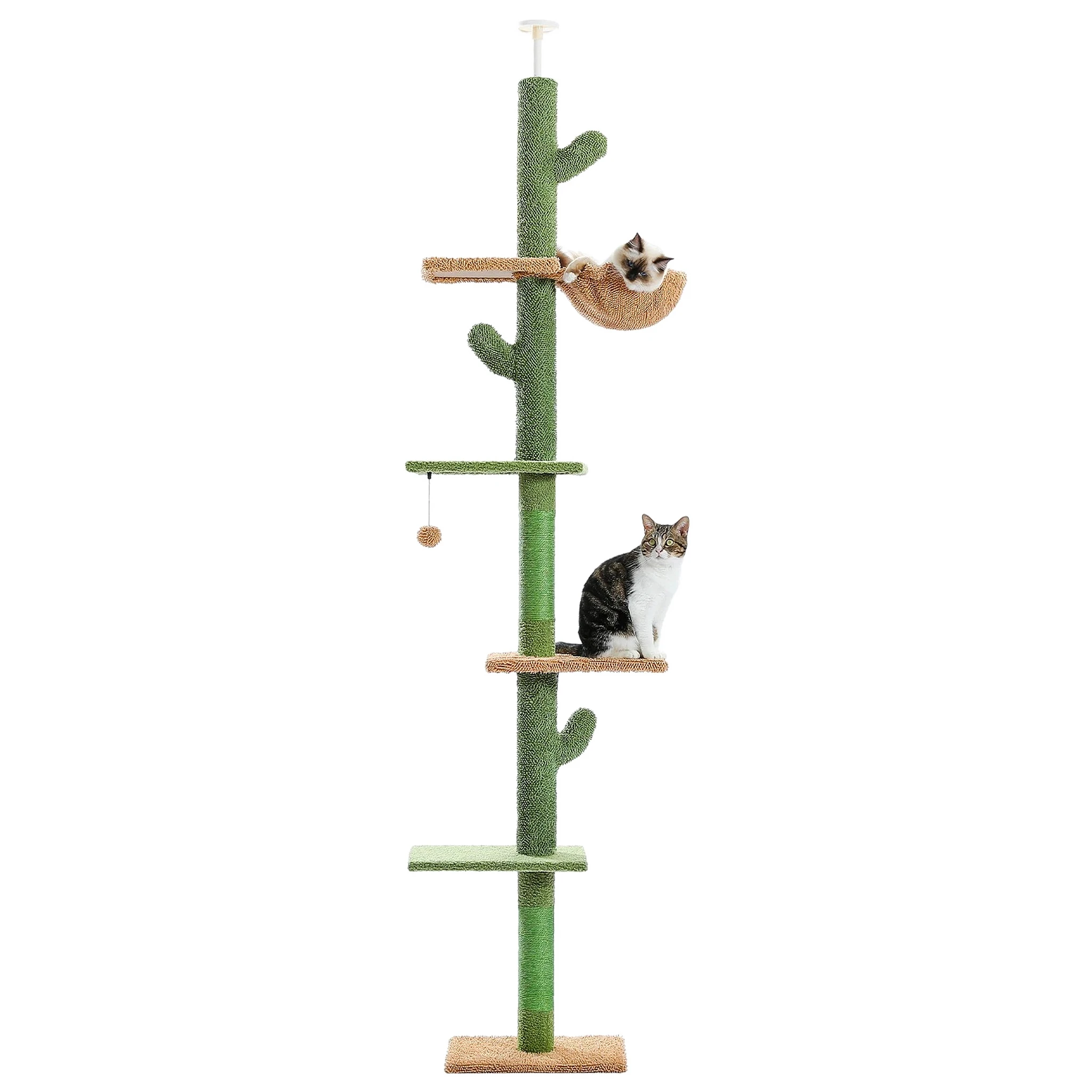 Arbre à chat cactus du sol au plafond, 5 niveaux avec hamac, sur fond blanc