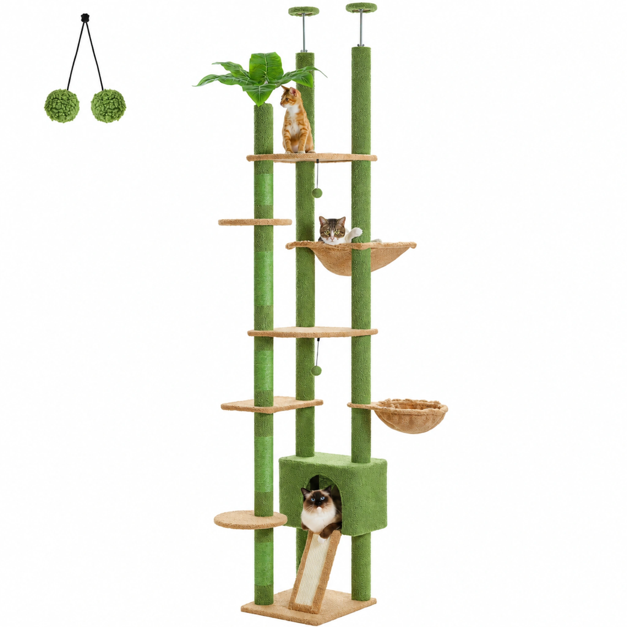 arbre chat vert presentation 2k fr