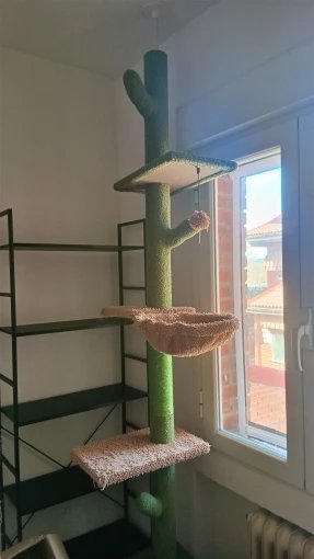 Photo client de l’arbre à chat cactus sol-plafond