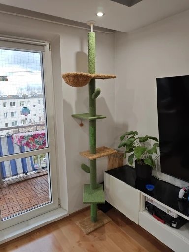 Photo client de l’arbre à chat cactus sol-plafond