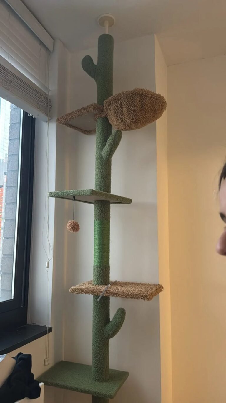 Photo client de l’arbre à chat cactus sol-plafond