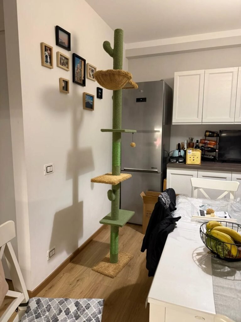 Photo client de l’arbre à chat cactus sol-plafond