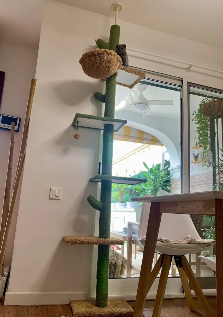 Photo client de l’arbre à chat cactus sol-plafond