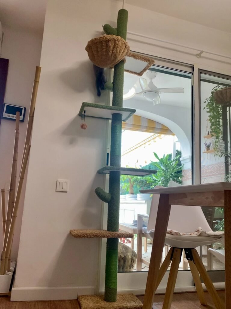 Photo client de l’arbre à chat cactus sol-plafond