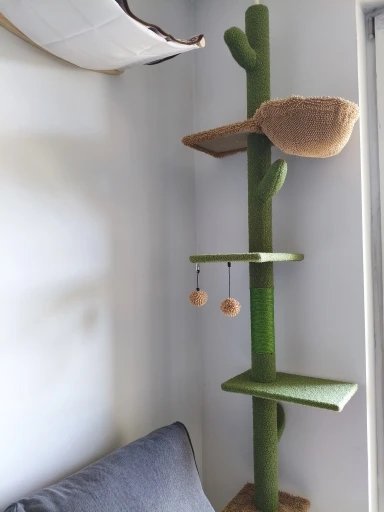 Photo client de l’arbre à chat cactus sol-plafond