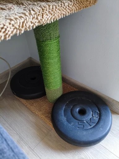Photo client de l’arbre à chat cactus sol-plafond