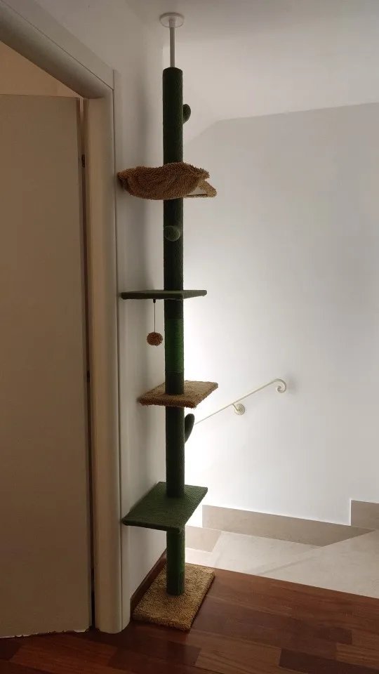 Photo client de l’arbre à chat cactus sol-plafond