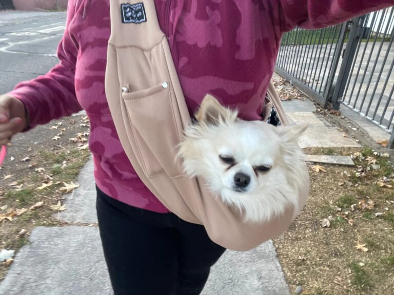 Photo client du sac bandoulière kaki avec un chihuahua