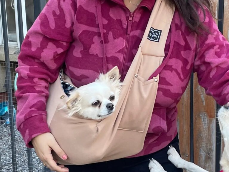 Deuxième photo client du sac kaki avec un chihuahua