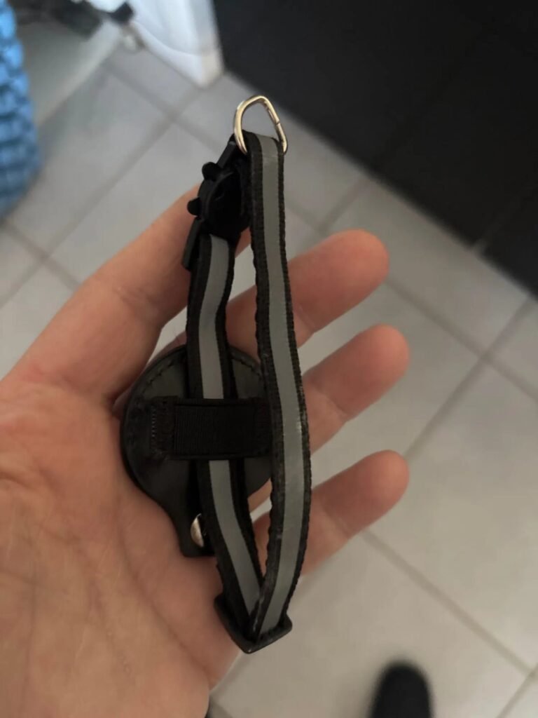 Photo client du collier AirTag pour chat