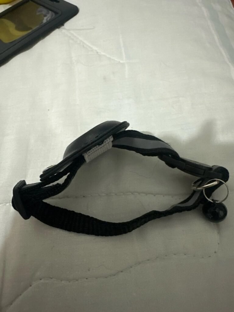 Photo client du collier AirTag pour chat