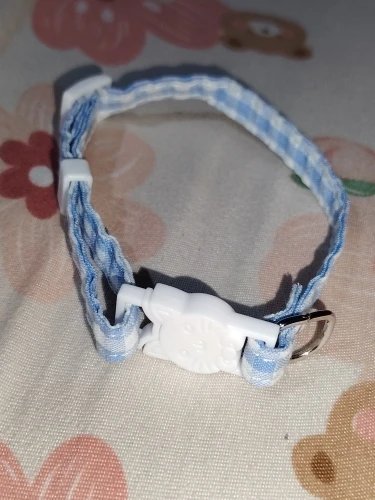 Photo client du collier à carreaux pour chat