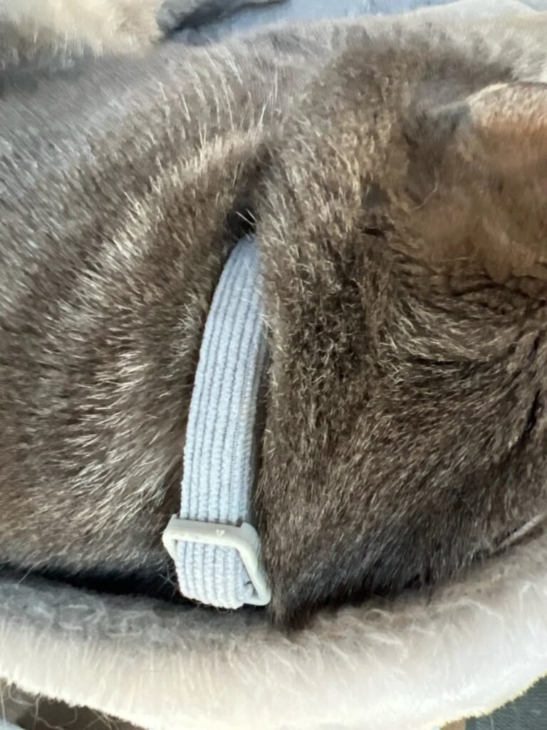 Photo client du collier pour chat à fleur