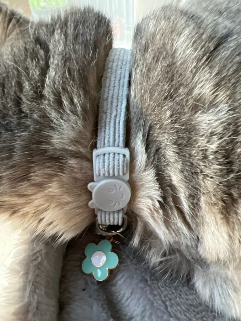 Photo client du collier pour chat à fleur