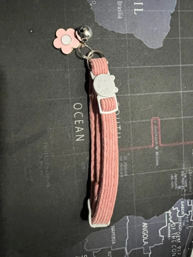Photo client du collier pour chat à fleur