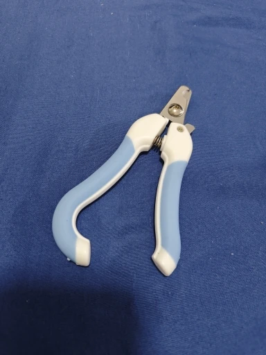 Photo client du fournisseur : coupe-griffes bleu sur fond bleu