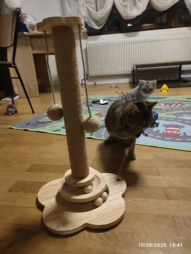 Photo client du griffoir pour chat avec plateau à billes