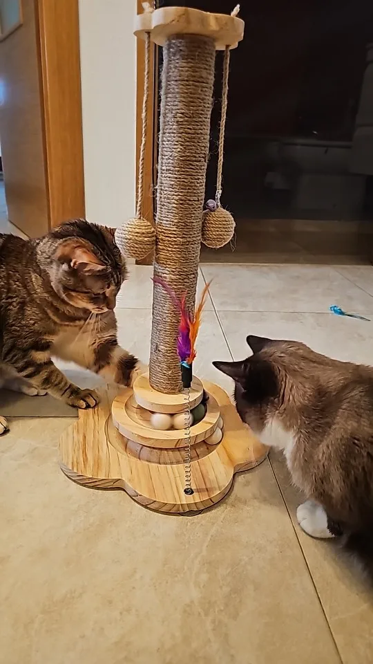 Photo client du griffoir pour chat avec plateau à billes