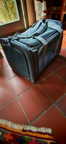 Photo client du sac de transport gris taille L