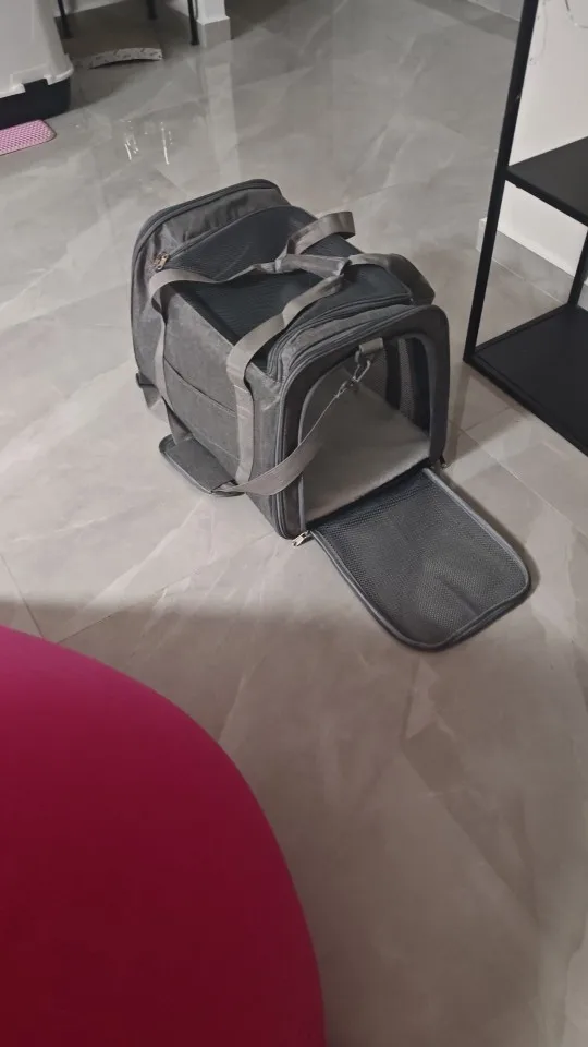 Photo client du sac de transport gris ouvert