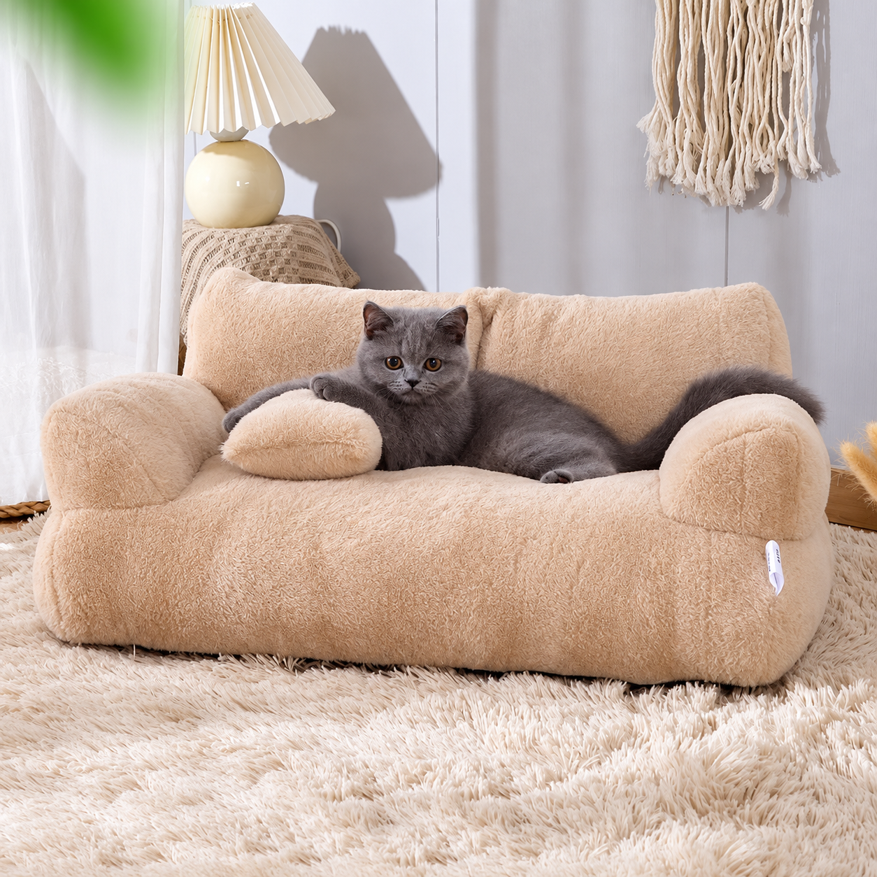 canape chat oreiller