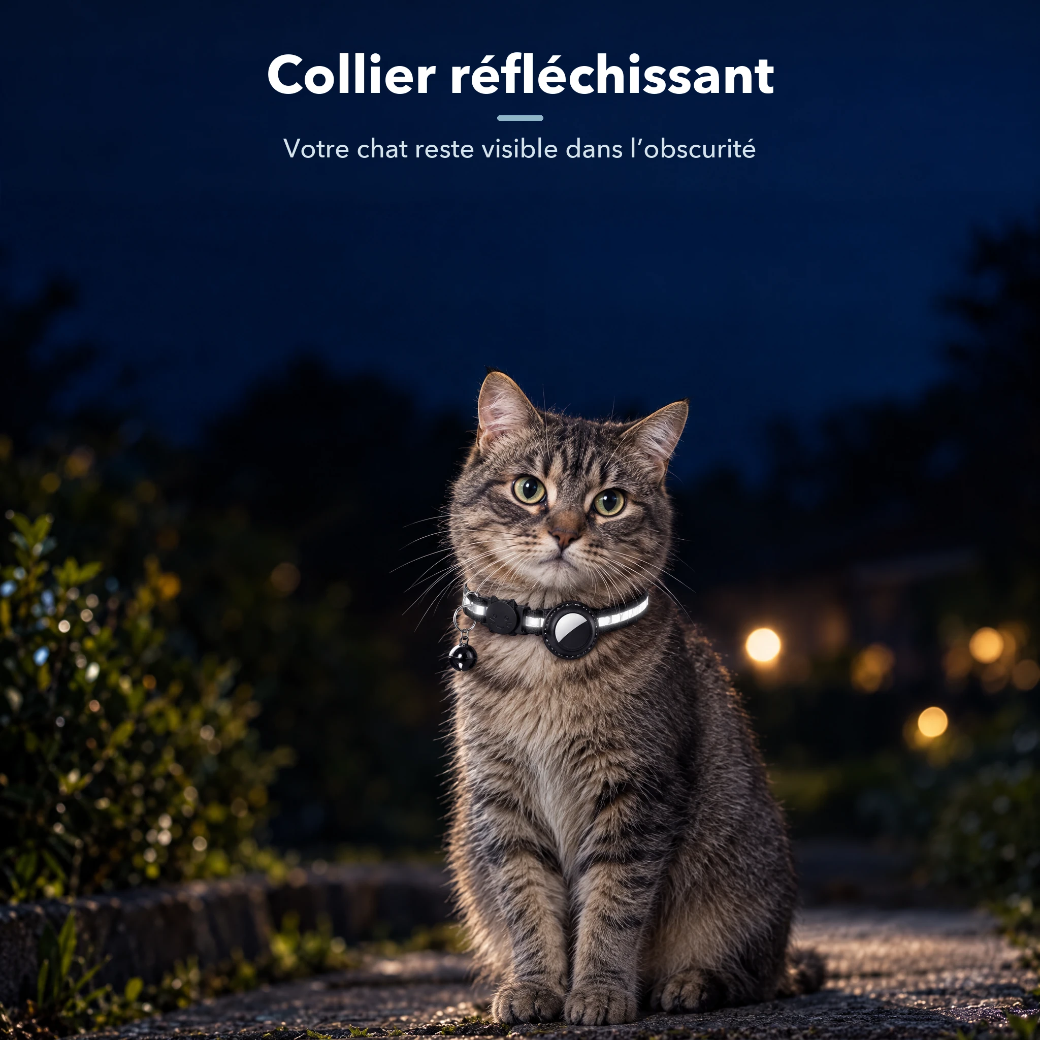 Accessoires