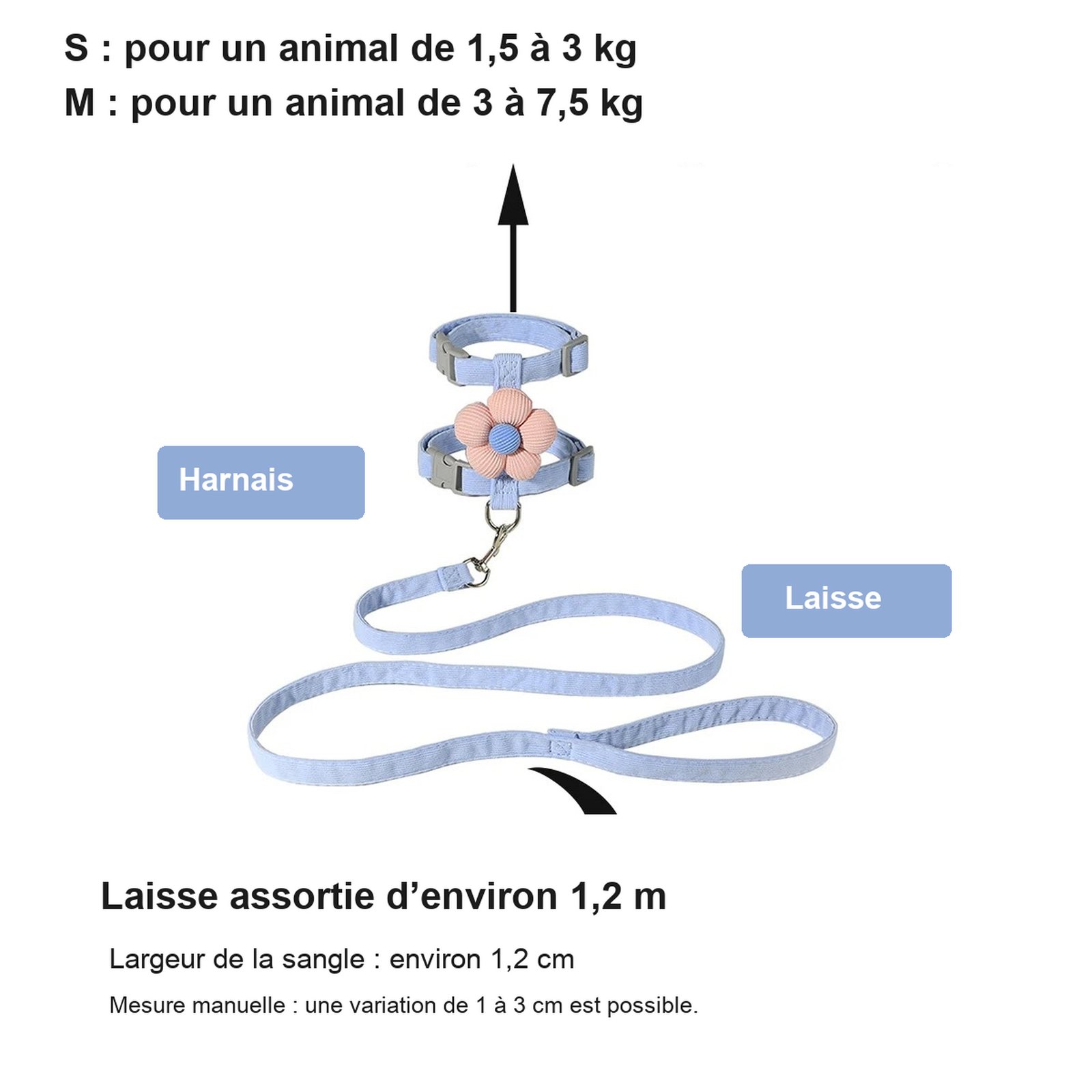 Choisissez d’abord selon son poids