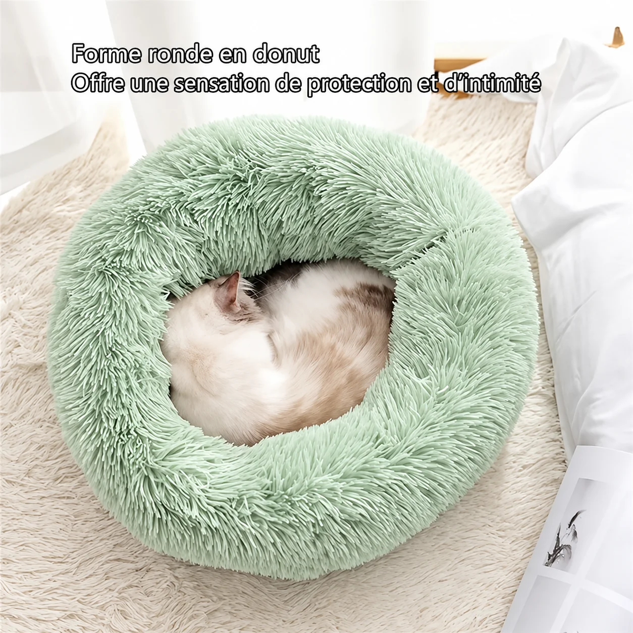 Un chat dort mieux adossé à quelque chose