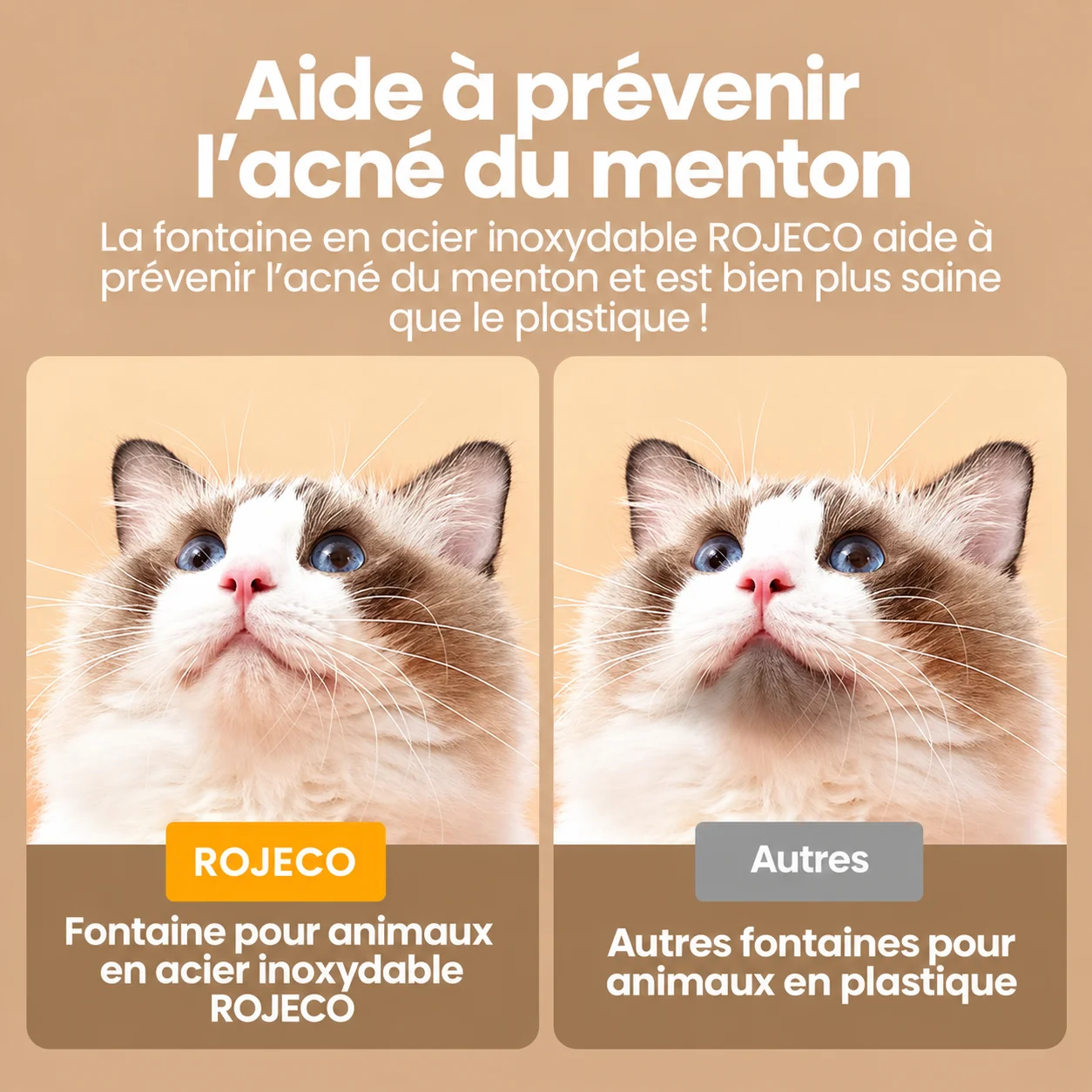 Fontaine à Eau 3,2 L en Acier Inoxydable, Bec Robinet