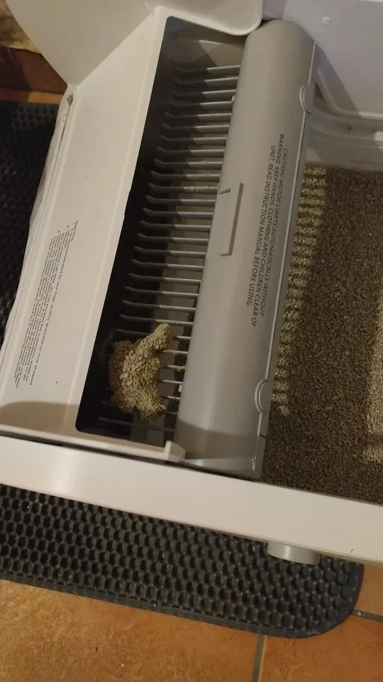 Photo d'un acheteur montrant le bac à litière compact installé chez lui