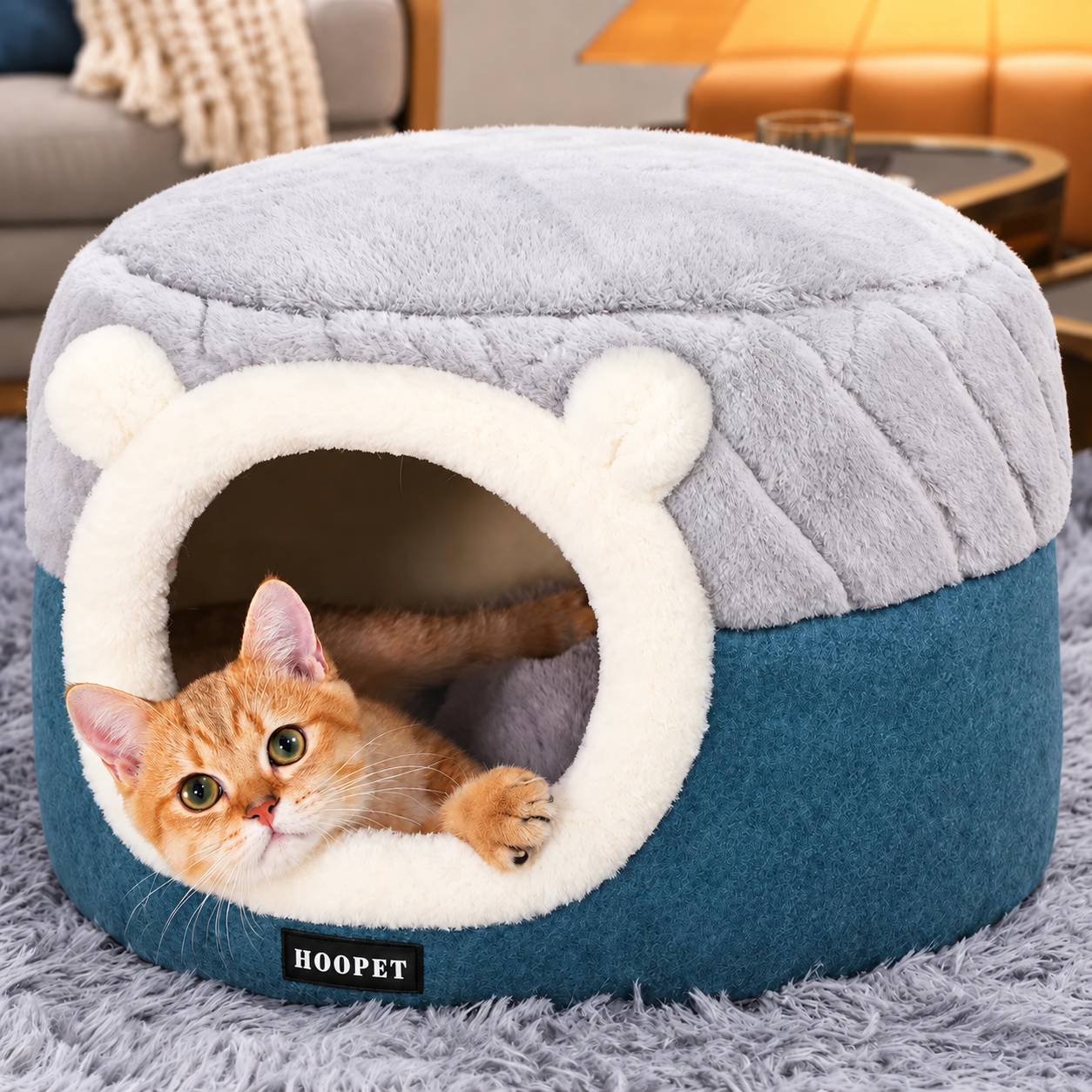 Chat installé à l intérieur du cocon, la tête à l entrée