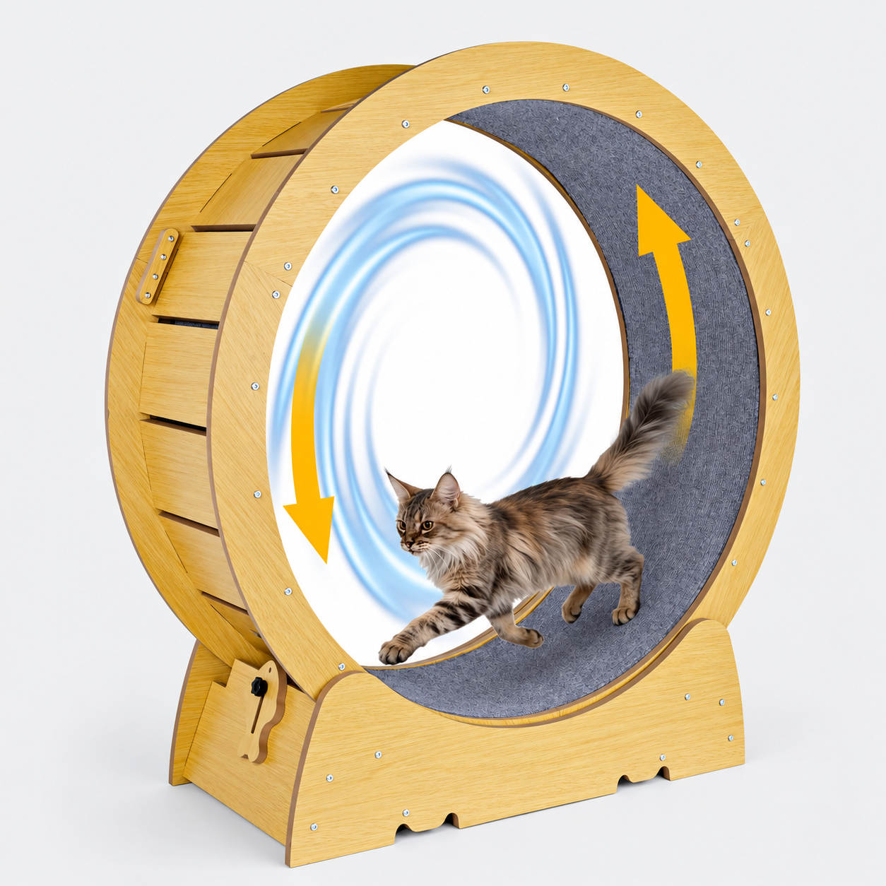 roue chat en mouvement