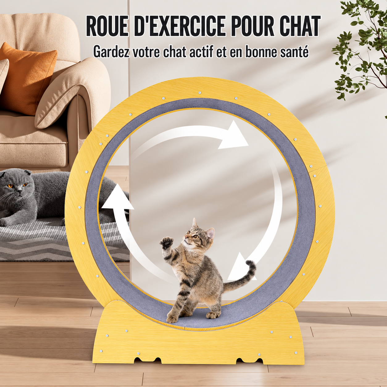 À son rythme, pas après pas